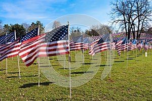 The Healing Field at Naperville Rotary Hill