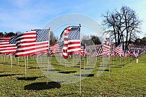 The Healing Field at Naperville Rotary Hill