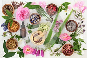 Healing Flowers and Herbs