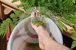 Healing foot bath with fern leaves extract.