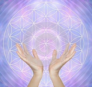 Healing Hands and Flower of Life Symbol Message Background