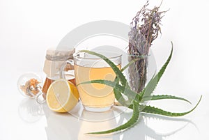 Healing herbs Alternative medicine