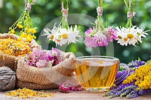 Healing herbs, bags with dried plants and tea cup