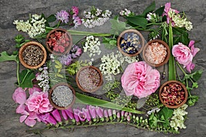 Healing Herbs and Flowers