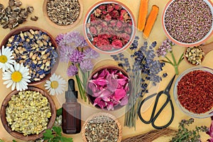 Healing Herbs and Flowers for Essential Oil