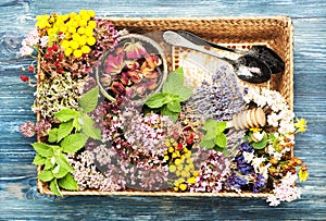 Healing herbs and flowers for herbal tea and honeycomb in a tray