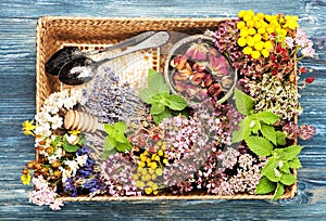 Healing herbs and flowers for herbal tea in a tray and honeycomb