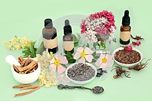 Healing Herbs and Flowers for Naturopathic Medicine