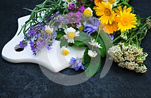 Healing herbs and flowers on a white wooden board. Cool plan. photo