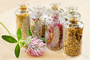 Healing herbs in glass bottles