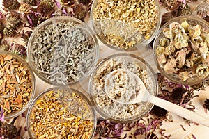 Healing herbs in glass cups, herbal medicine photo