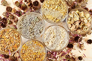Healing herbs in glass cups,top view photo