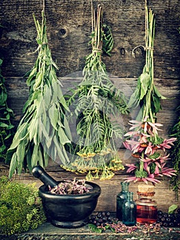 Healing herbs, herbal medicine photo