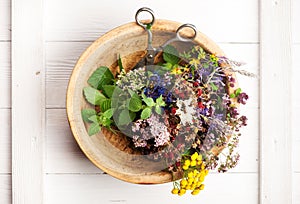 Healing herbs for herbal tea