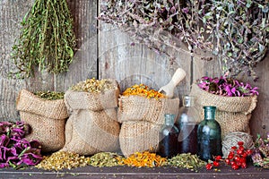 Healing herbs in hessian bags and bottles of essential oil