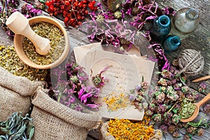 Healing herbs in hessian bags, wooden mortar, bottles and tincture