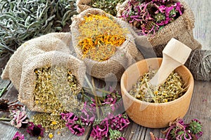 Healing herbs in hessian bags, wooden mortar with chamomile