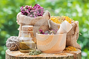 Healing herbs in hessian bags, wooden mortar with coneflowers