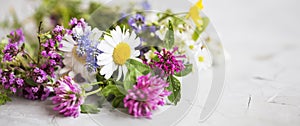 Healing herbs. Medicinal plants and flowers bouquet with mint, c