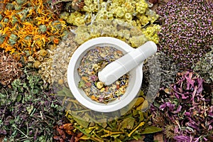 Healing herbs and mortar of medicinal herbs - thyme, coneflower, marigold, daisies, helichrysum flowers, heather, mistletoe.