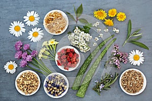 Healing Herbs Used in Herbal Medicine