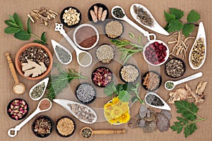 Healing Herbs for Women