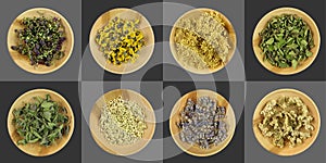 Healing herbs in wooden bowls on dark grey background