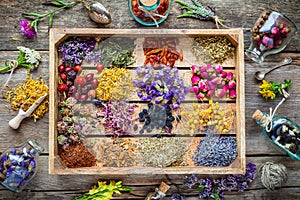 Healing herbs in wooden box, herbal medicine photo