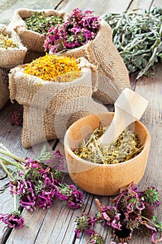 Healing herbs in wooden mortar and in bags, herbal medic