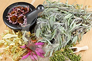 Healing herbs on wooden table, mortar and pestle