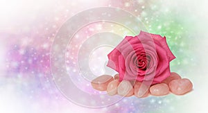Healing Rose Quartz and Pink Rose