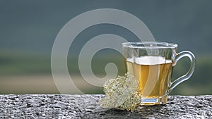 Healing tea yarrow and Achillea millefolium flower, nature background, copy space. Rest time outdoor Herbal medicine