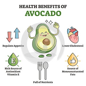 Health benefits of avocado eating as nutrient value scheme outline concept