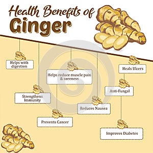 Health Benefits of Ginger. Immunity Booster photo
