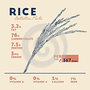 Health benefits of rice . Nutrition facts.