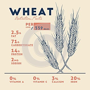 Health benefits of wheat . Nutrition facts.