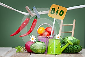 Health bio organic food concept. Stylish composition of small fruits and vegetables and garden