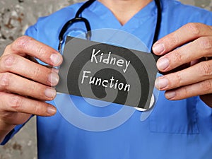 Health care concept about Creatinine Blood Test Kidney Function with inscription on the sheet