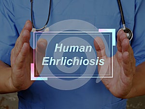 Health care concept about Human Ehrlichiosis with phrase on the sheet photo