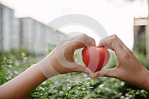 Health Care and CSR Insurance Concept, Female Hands Holding Red Heart Shape for Organ Donation. Healthy Wellbeing and Life Balance