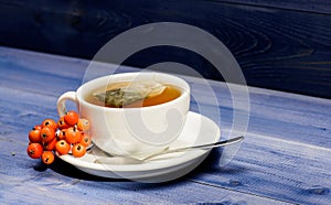 Health care folk remedies. Drink aromatic rowanberry beverage. Cup of tea on blue background close up. Gourmet delicious