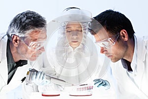 Health care researchers working in scientific laboratory. photo