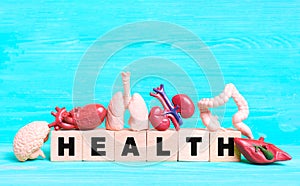 Health Concept with Wooden Blocks and Human Organ Figurines