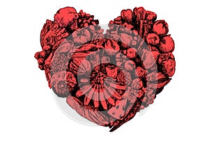 Health eating - Heart of food - Hand Drawn food heart illustration photo