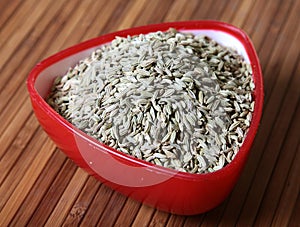 Health food'fennel seeds'
