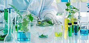 Health and medical research, scientist is testing natural extraction, natural herbs in the glasswares, making herbs experiment in