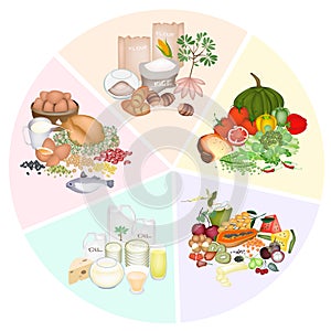 A nutrición dosis de cinco principal comida grupos 