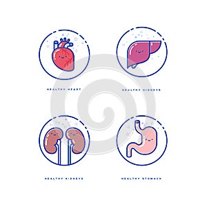 Health organs. Happy human organs. Heart. Liver. Kidneys and Stomach.