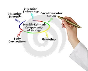 Health Related Components of Fitness