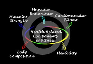 Health Related Components of Fitness